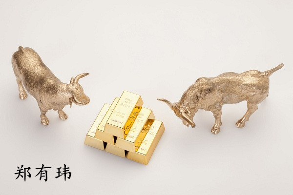 鄭有瑋：3.1新的一年入市需看的 匯市 黃金做單策略