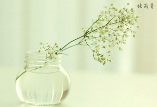 張簡箐:黃金高開已破1338,空頭還有活命的機會嗎? 張簡箐:黃金高開已破1338,空頭還有活命的機會嗎?