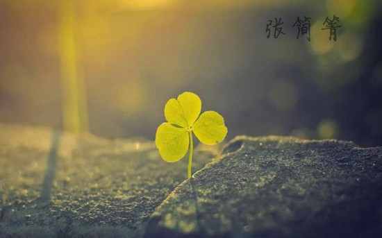 張簡箐：ADP黃金被多空戲耍，曇花一現多單又被套！