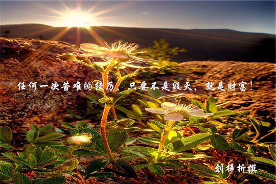 劉梓析3.12黃金觸底反彈！反轉(zhuǎn)還是最后的掙扎？