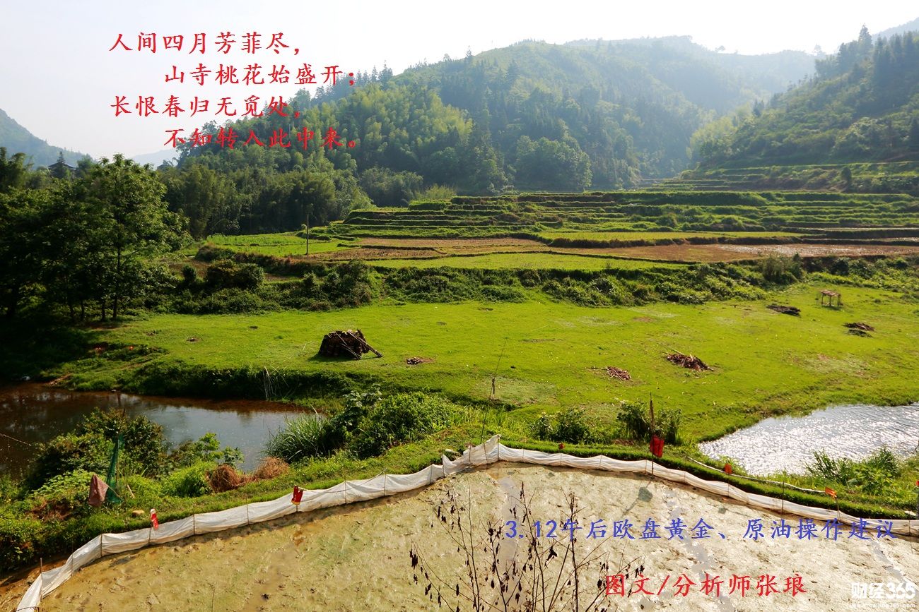 分析師張瑯：3.12午后歐盤黃金、原油操作建議
