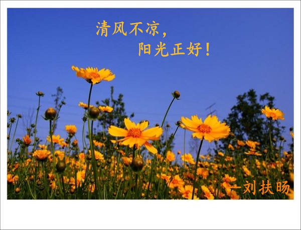 劉扶旸：3.12黃金震蕩持續 今日黃金能否突破1327高點？