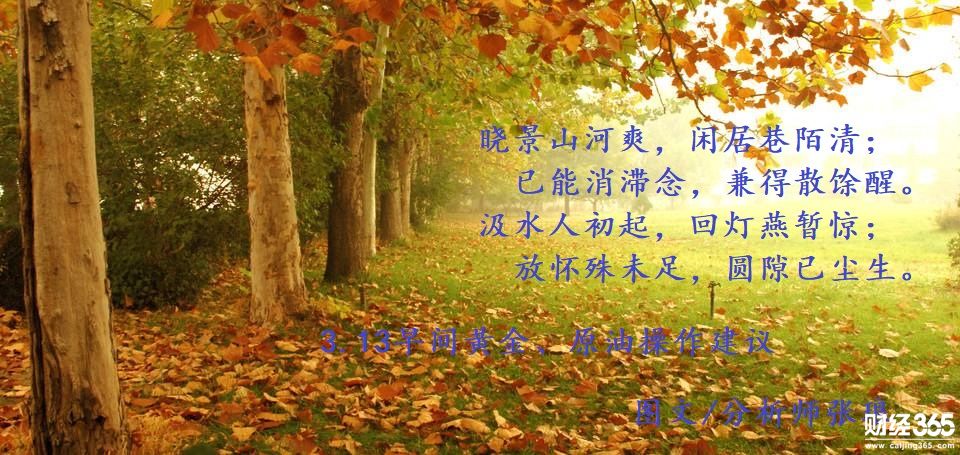 分析師張瑯：3.13強壓之下，早盤黃金、原油操作建議
