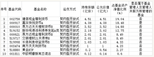 前十名基金投資明細(xì)