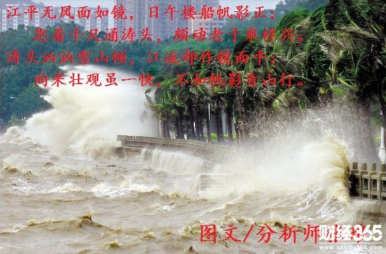Img321106159.jpg