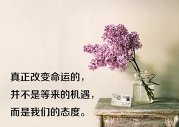 高御羽：3.19還在虧損？教你十一招玩轉黃金，百戰不殆！