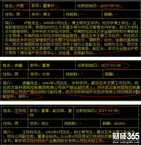 股票三特索道