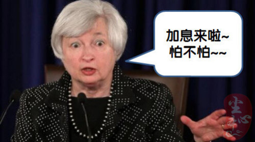 塵本心：3.21加息風暴來臨，黃金今日先看反彈
