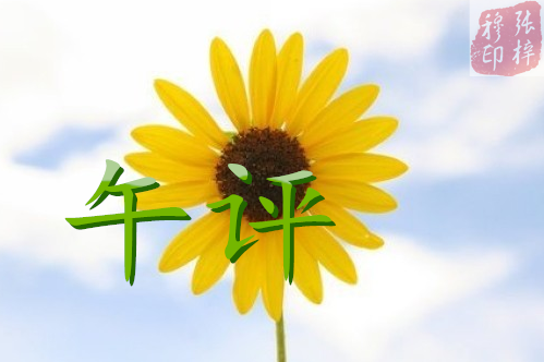 3.21黃金探底回升，日內行情分析操作建議