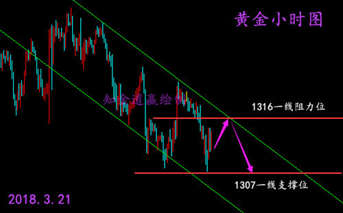 知金道贏：3.21午評加息困擾黃金沖高，原油重點關注晚間EIA