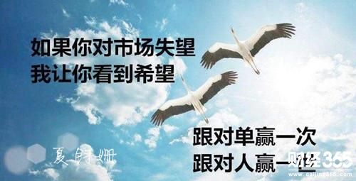 u=3980190907,713540352&fm=27&gp=0.jpg