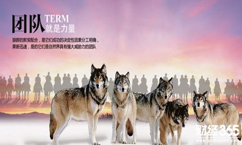劉金鎽4.9黃金回撤蓄力待反彈，后市行情分析及操作布局