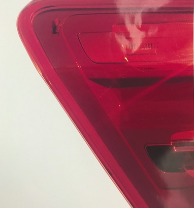 尾燈有蒼蠅 車主“很不適”