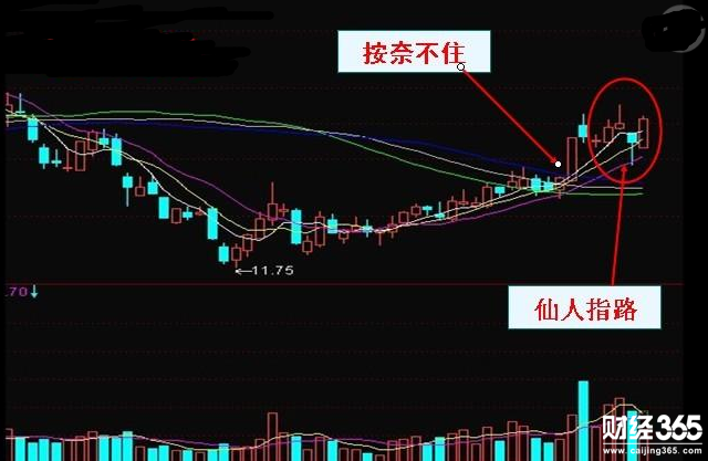 股票仙人指路