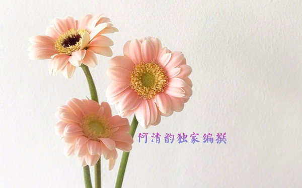 何清韻：4.24黃金后市空頭確立，一路走跌再回原點！