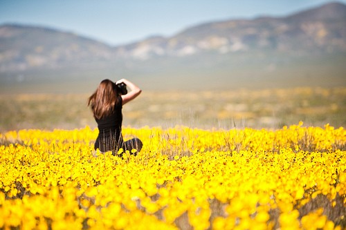 秦梓昕：4.24美債美指雙翼齊飛，黃金弱勢繼續高空為主
