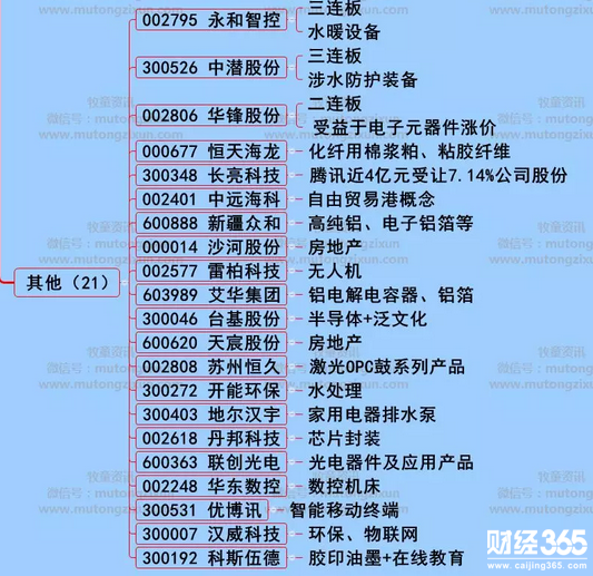 漲停個股分析