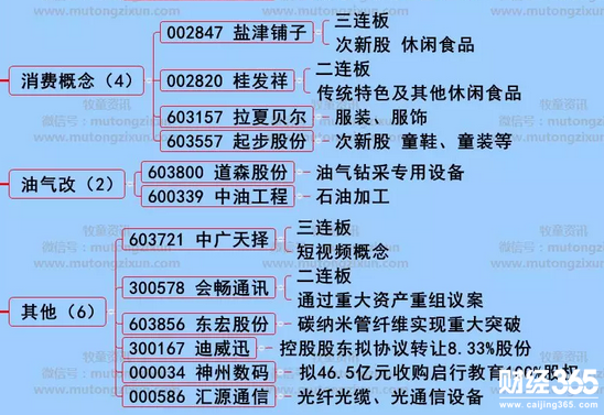 漲停個股分析