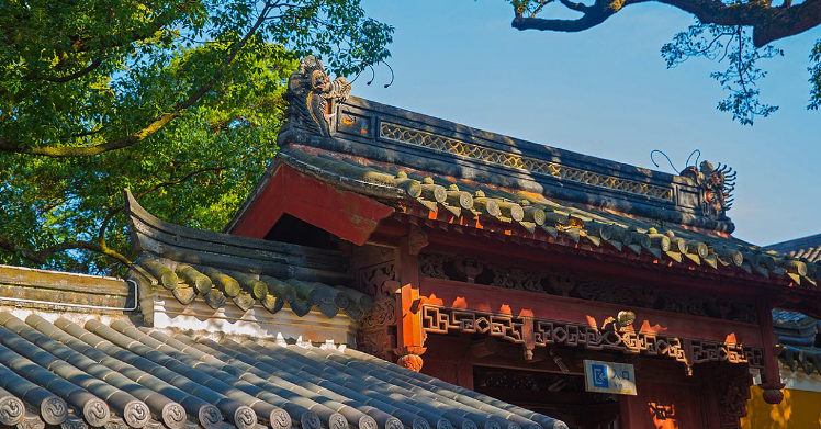普陀旅游有限公司改名