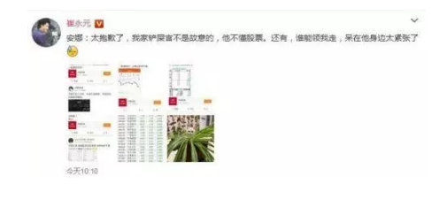 崔永元發(fā)微博回應(yīng)