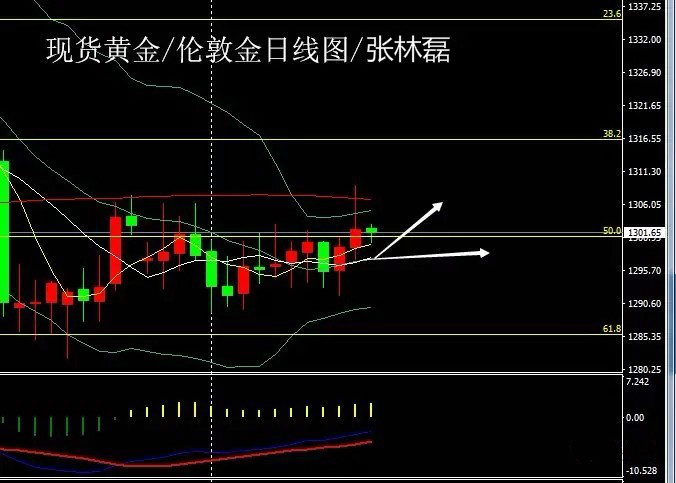 張林磊：世界杯開局狂攬5佳球，助推黃金多頭漲勢不歇