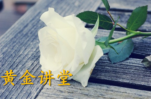 黃芷瀅：6.26黃金震蕩加劇不知歸處!多頭只是一場空？后市行情分析及建議附解套
