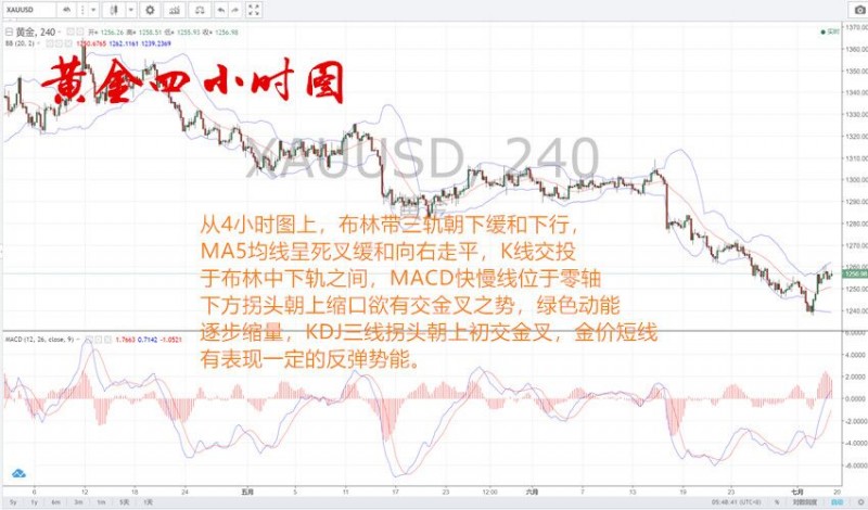 儲鑫雅：7.5非農即將重磅來襲，會紀要利多黃金還看多頭
