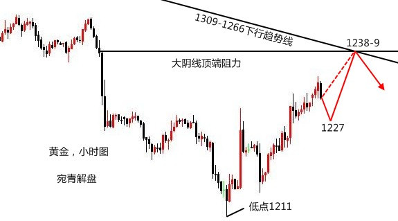宛青解盤：黃金觸底未必成型，周初大陰線頂端1239可空