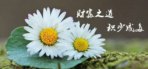 201808060909436866_副本.jpg