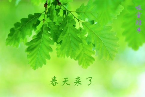 吸金勝手:國(guó)際黃金利好不斷倫敦金的春天來(lái)了