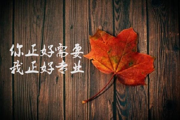 你需要，我專業.jpg