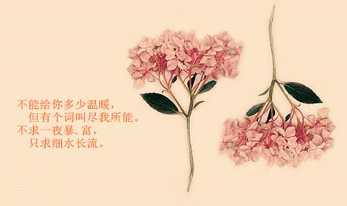 u=3709504789,2817278269&fm=26&gp=0.jpg