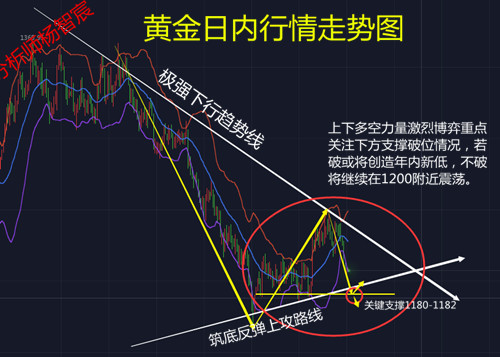 黃金11.4.jpg