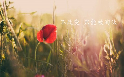 11.18新手炒黃金如何盈利？虧損后怎么回本？