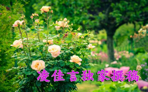11.30黃金價格能否上破1230高點此位置是關鍵！日內操作建議
