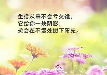 t01035b1526320fcfac.jpg