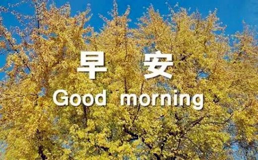 12.17周初黃金最新走勢分析操作建議，黃金投資要點有哪些？