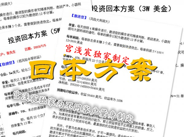 宮淺宸回本方案.png