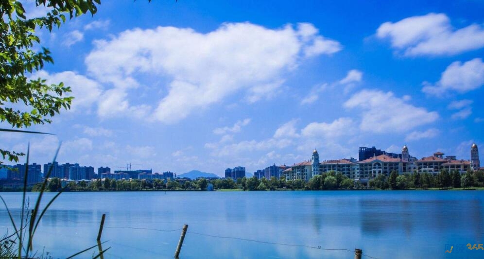 股市權威分析-2020股市下半場怎么走