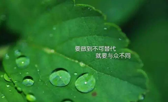卓偉論金：1.22美政府停擺或將推動黃金上漲，原油反彈可短空
