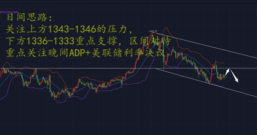  雷子構(gòu)：1.31翻倉回本好時機，黃金日內(nèi)短線操作分析策略