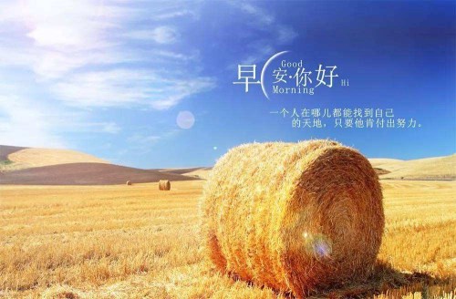 靳宏東5.23避險情緒升溫，黃金是否能迎來春天，早間操作策略解析