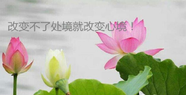 請(qǐng)輸入內(nèi)容標(biāo)胡丁杰：7.28黃金高低起伏，雙向收獲不亦樂乎，還不跟上？題